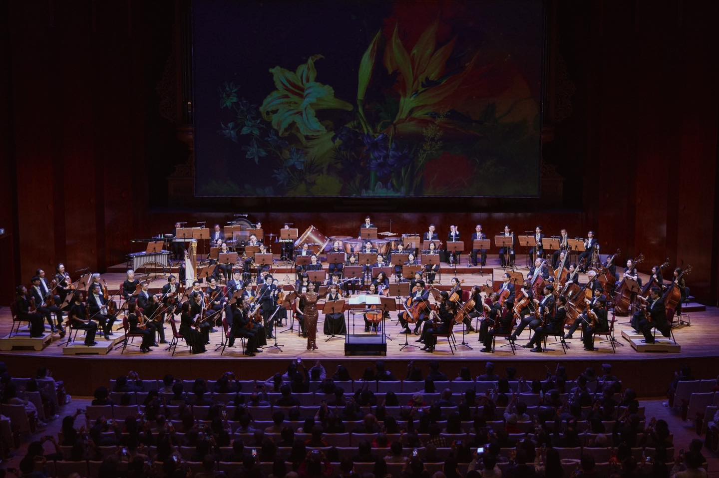 NSO A Night in Vienna: Highlights from the Grand Operas