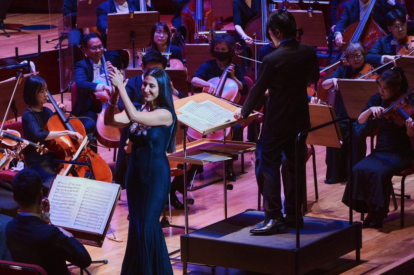 NSO A Night in Vienna: Highlights from the Grand Operas